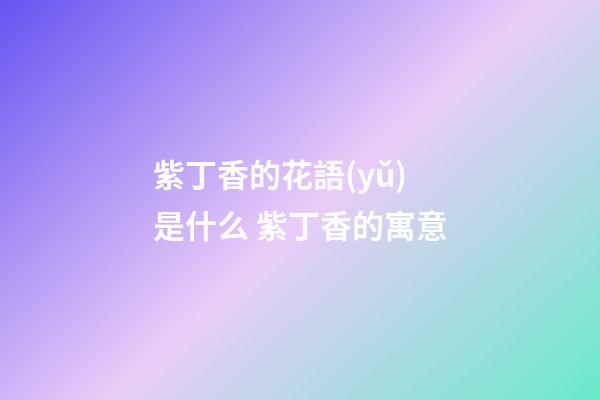 紫丁香的花語(yǔ)是什么 紫丁香的寓意